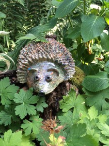 7 L' hérisson dans les fougères / The hedgehog in the ferns