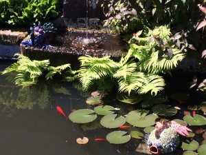 Le poisson bulle (de l'expo précédente) partage son bassin avec le grenouille / The bubble fish (from a former show) shares his pond with Morgane's new frog
