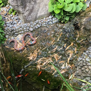 Le serpent auprès des poissons rouges des jardins de Gaïa
