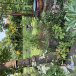 Un parcours céramique dans le jardin des Gouvion