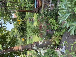 Un parcours céramique dans le jardin des Gouvion